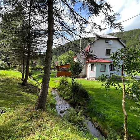 Apartamento Apartman Pod Sjezdovkou Český Jiřetín Exterior foto