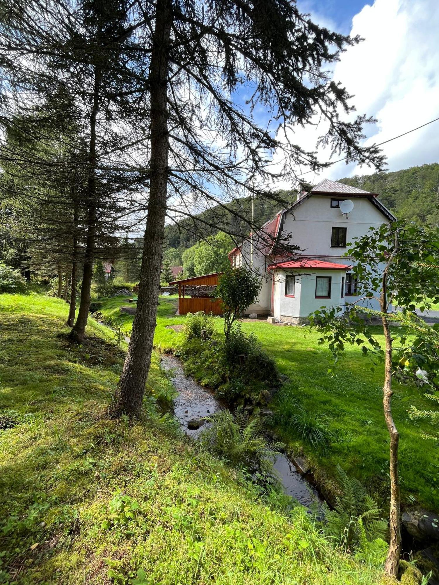 Apartamento Apartman Pod Sjezdovkou Český Jiřetín Exterior foto